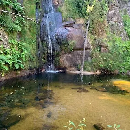 Pomares *